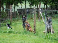 Concours du 16 juin 2019