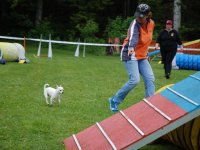 Concours du 16 juin 2019