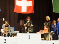 Apéro, Résultats et Souper