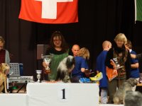 Apéro, Résultats et Souper