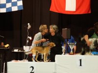 Apéro, Résultats et Souper
