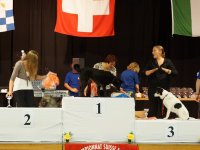 Apéro, Résultats et Souper