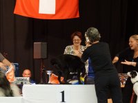 Apéro, Résultats et Souper