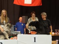Apéro, Résultats et Souper
