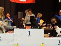Apéro, Résultats et Souper