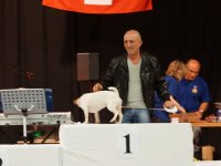 Apéro, Résultats et Souper