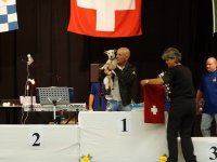 Apéro, Résultats et Souper