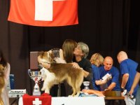 Apéro, Résultats et Souper