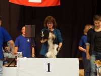 Apéro, Résultats et Souper
