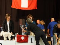 Apéro, Résultats et Souper