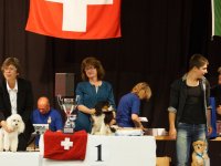 Apéro, Résultats et Souper