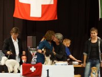 Apéro, Résultats et Souper