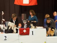 Apéro, Résultats et Souper