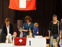 Apéro, Résultats et Souper