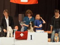 Apéro, Résultats et Souper