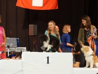 Apéro, Résultats et Souper