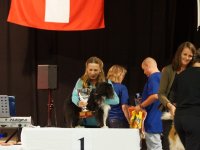 Apéro, Résultats et Souper