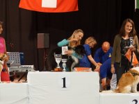 Apéro, Résultats et Souper