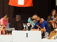 Apéro, Résultats et Souper