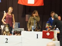 Apéro, Résultats et Souper