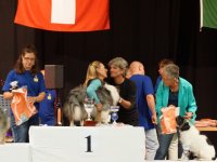 Apéro, Résultats et Souper