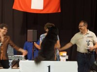 Apéro, Résultats et Souper