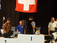 Apéro, Résultats et Souper
