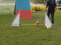 Les Concours