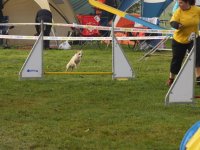 Les Concours