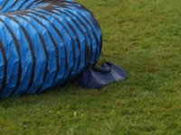 Les Concours