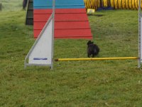 Les Concours