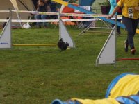 Les Concours