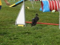Les Concours