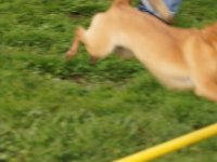Les Concours