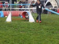 Les Concours