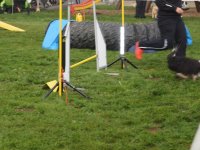 Les Concours