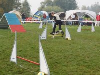 Les Concours