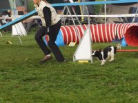 Les Concours