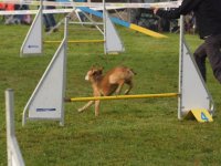 Les Concours