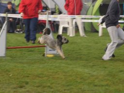 Les Concours