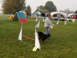 Les Concours