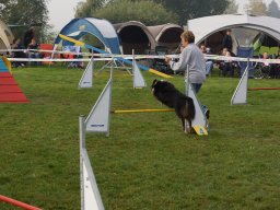Les Concours