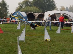 Les Concours