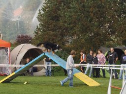 Les Concours