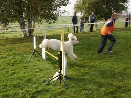 Les Concours