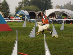 Les Concours