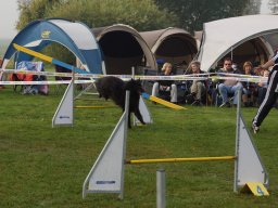 Les Concours