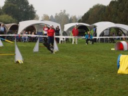 Les Concours