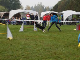 Les Concours