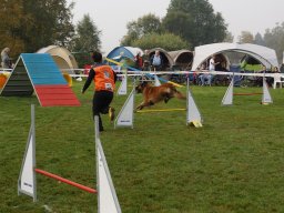 Les Concours